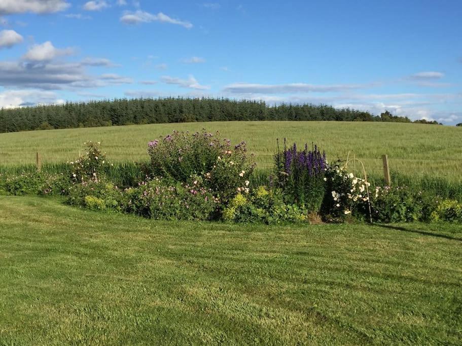 Blackhill Farm Cottage Perth Dış mekan fotoğraf