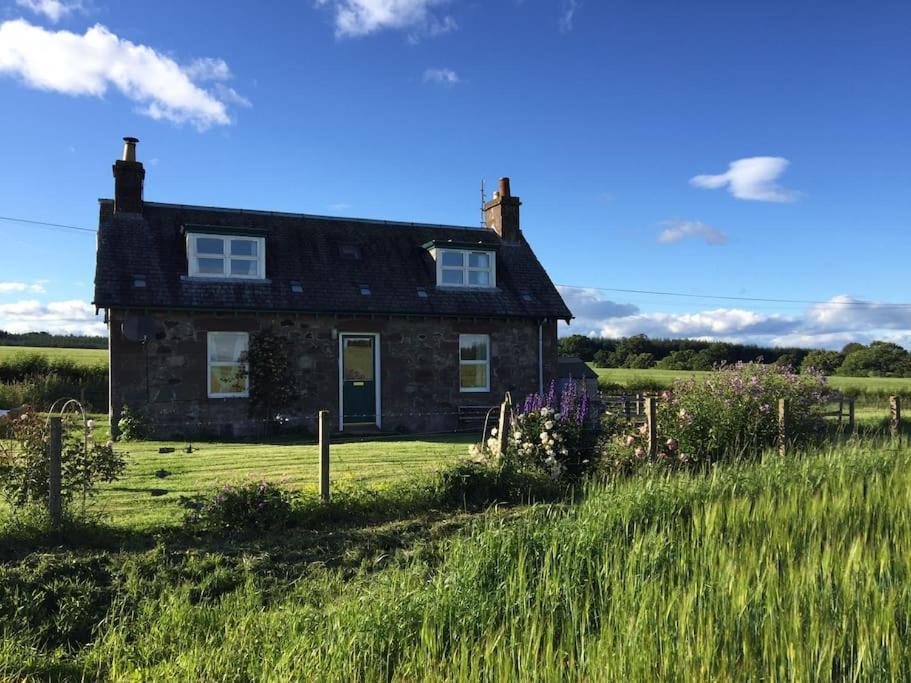 Blackhill Farm Cottage Perth Dış mekan fotoğraf