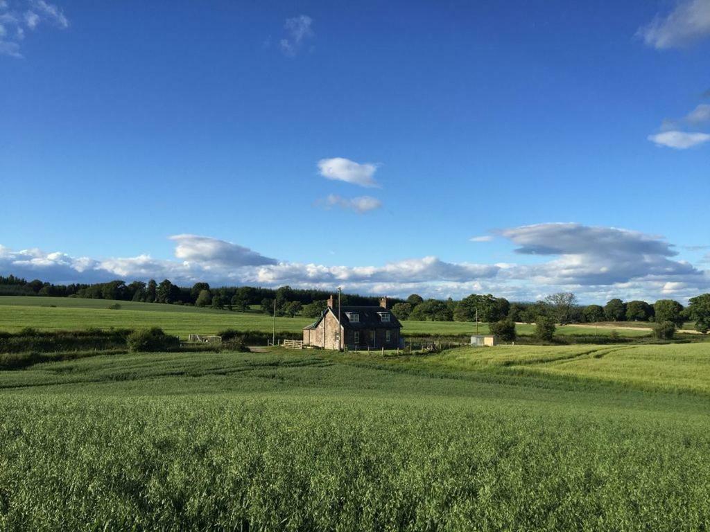 Blackhill Farm Cottage Perth Dış mekan fotoğraf